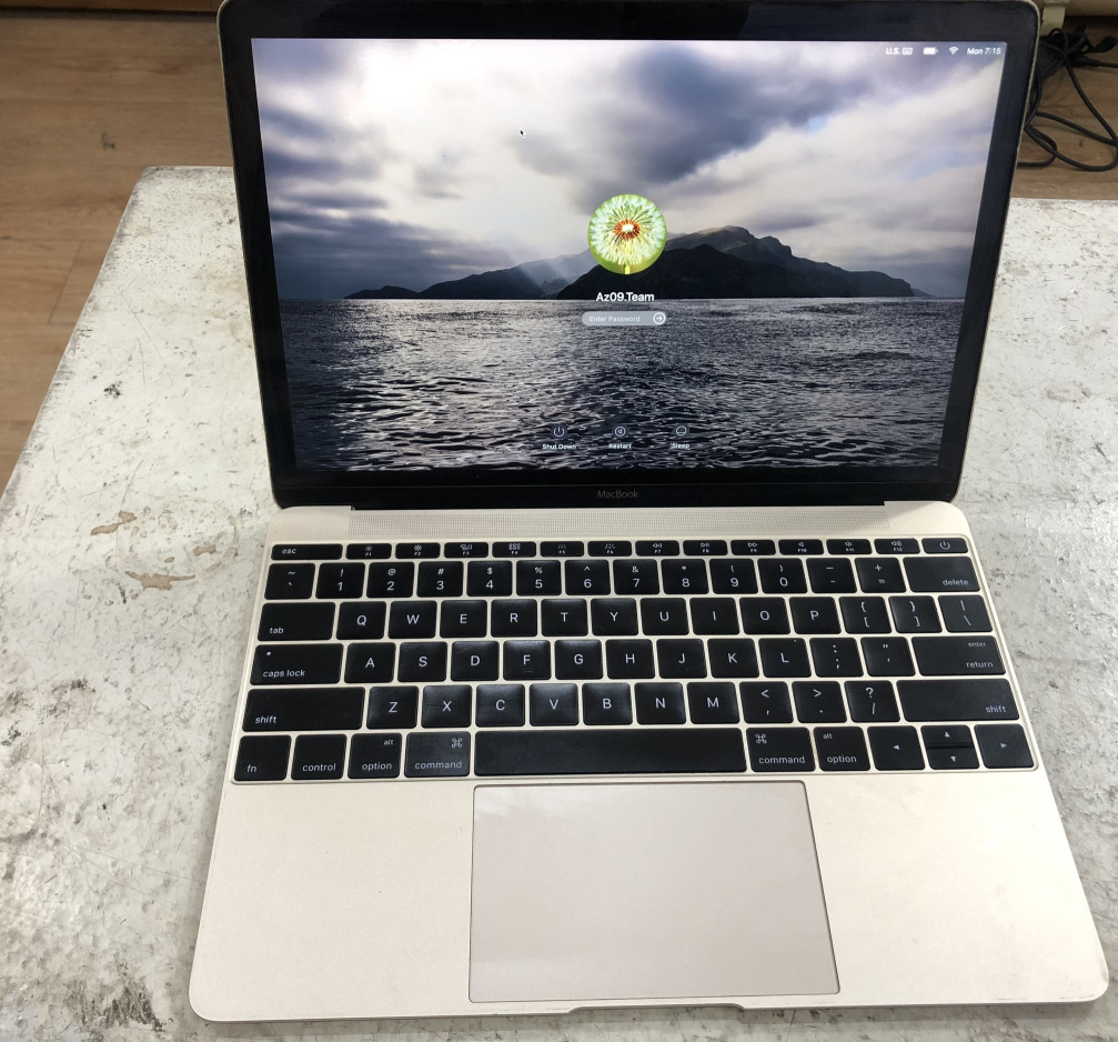 MacBook (Retina, 12-inch, Early 2015)